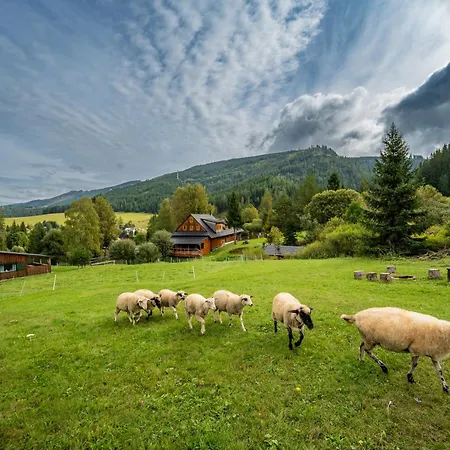 Palcovka - U Stepana A U Dorotky Huty